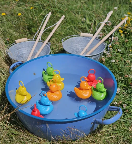 Pêche aux canards